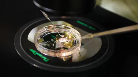 Innovative Breakthrough: Scientists Create Human Embryos from Skin Cells