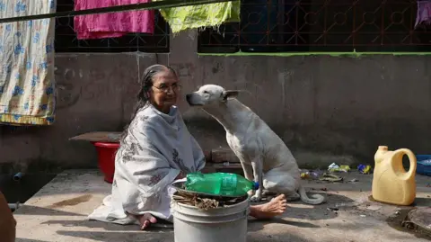 Telangana Launches Investigation into Mass Killings of Stray Dogs