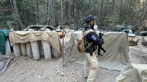 Mexico Affirms US Agents Lacked Authorization During Fatal Crash