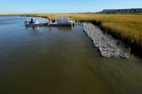 Louisiana Tribes Combat Coastal Erosion to Preserve Their Lands and Heritage