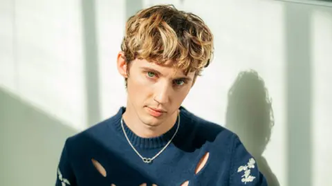 Cosmetic Doctor Apologizes After Criticizing Troye Sivan's Appearance on TikTok
