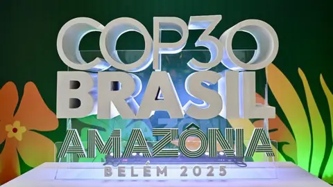 COP30: A Critical Summit for Climate Action