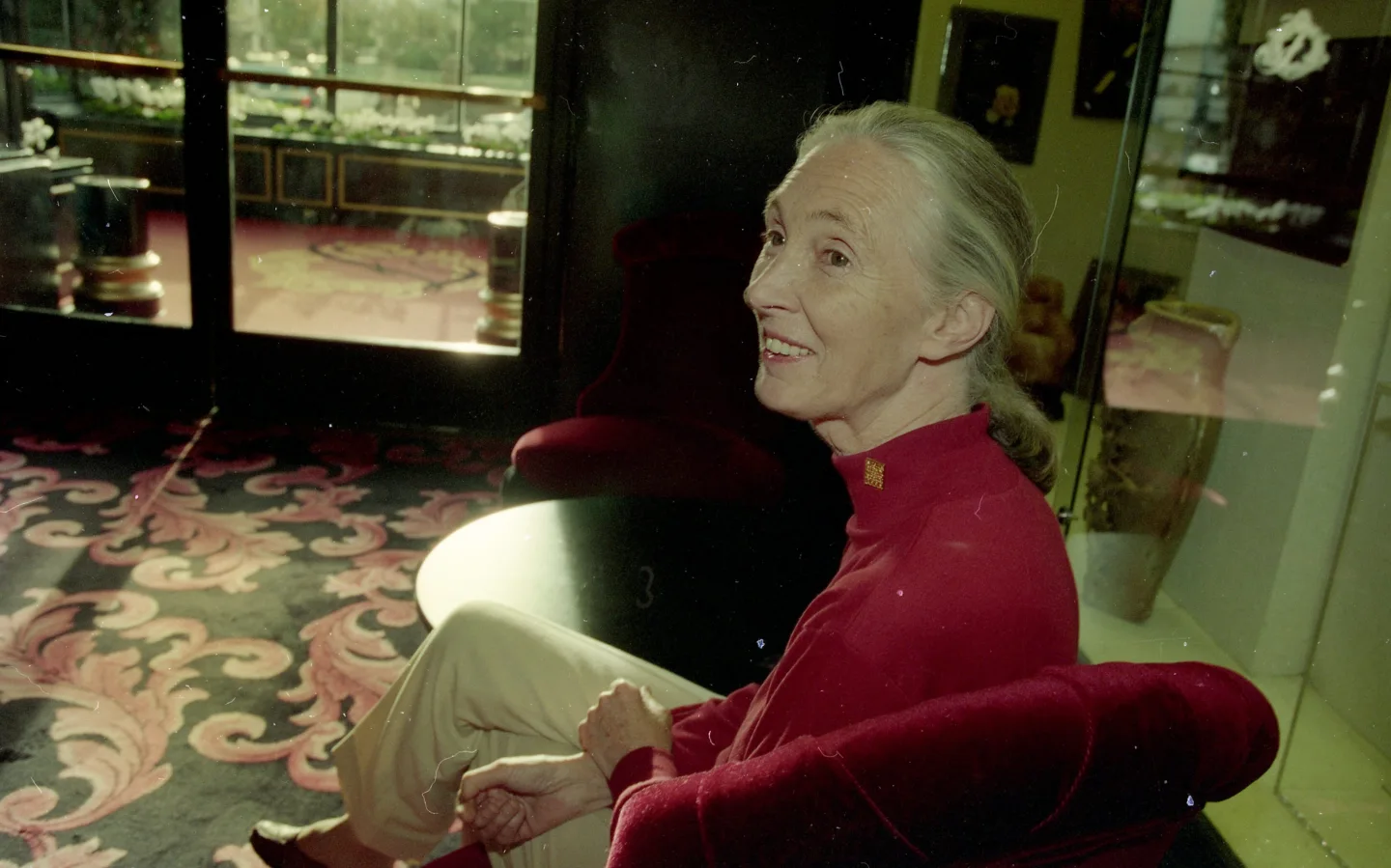 Celebrating the Legacy of Jane Goodall: A Life Dedicated to Nature