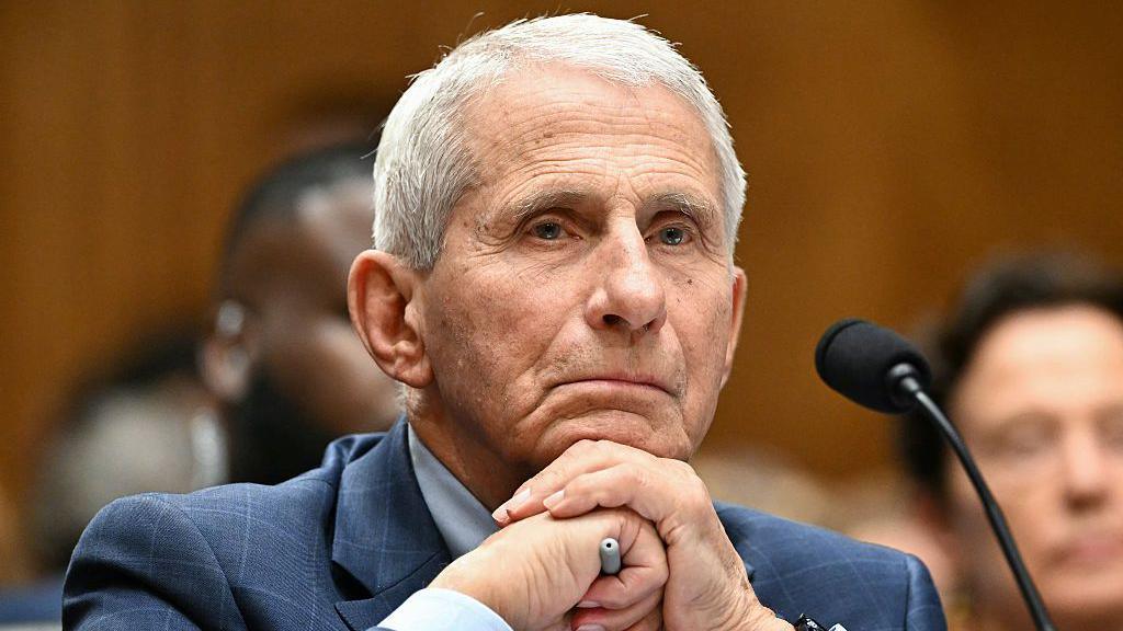 Fauci Nixes Senate Questions, Invokes Fifth Amendment Amid COVID Origins Probe