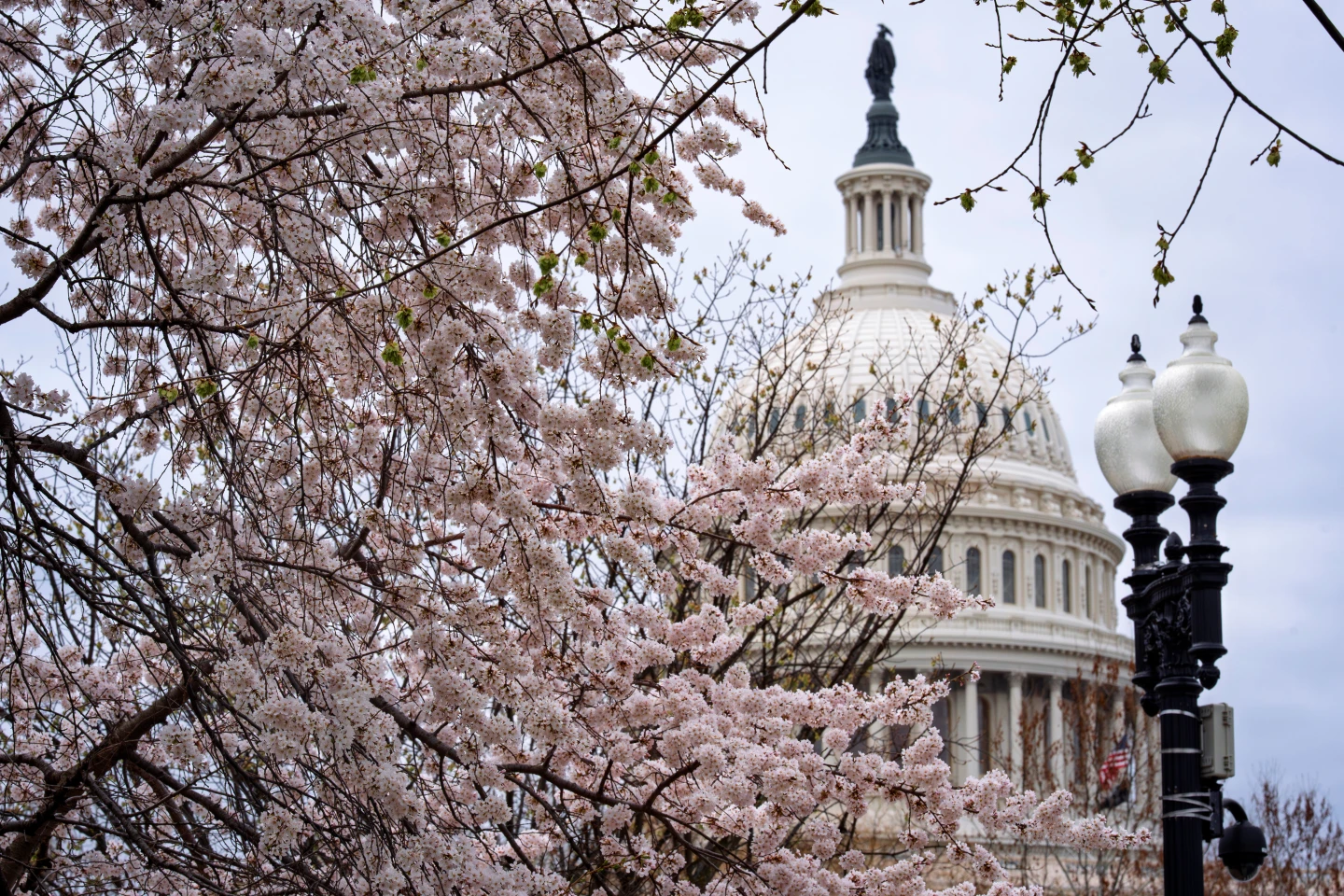 Republicans Push to Reopen Homeland Security Amid Longest Shutdown