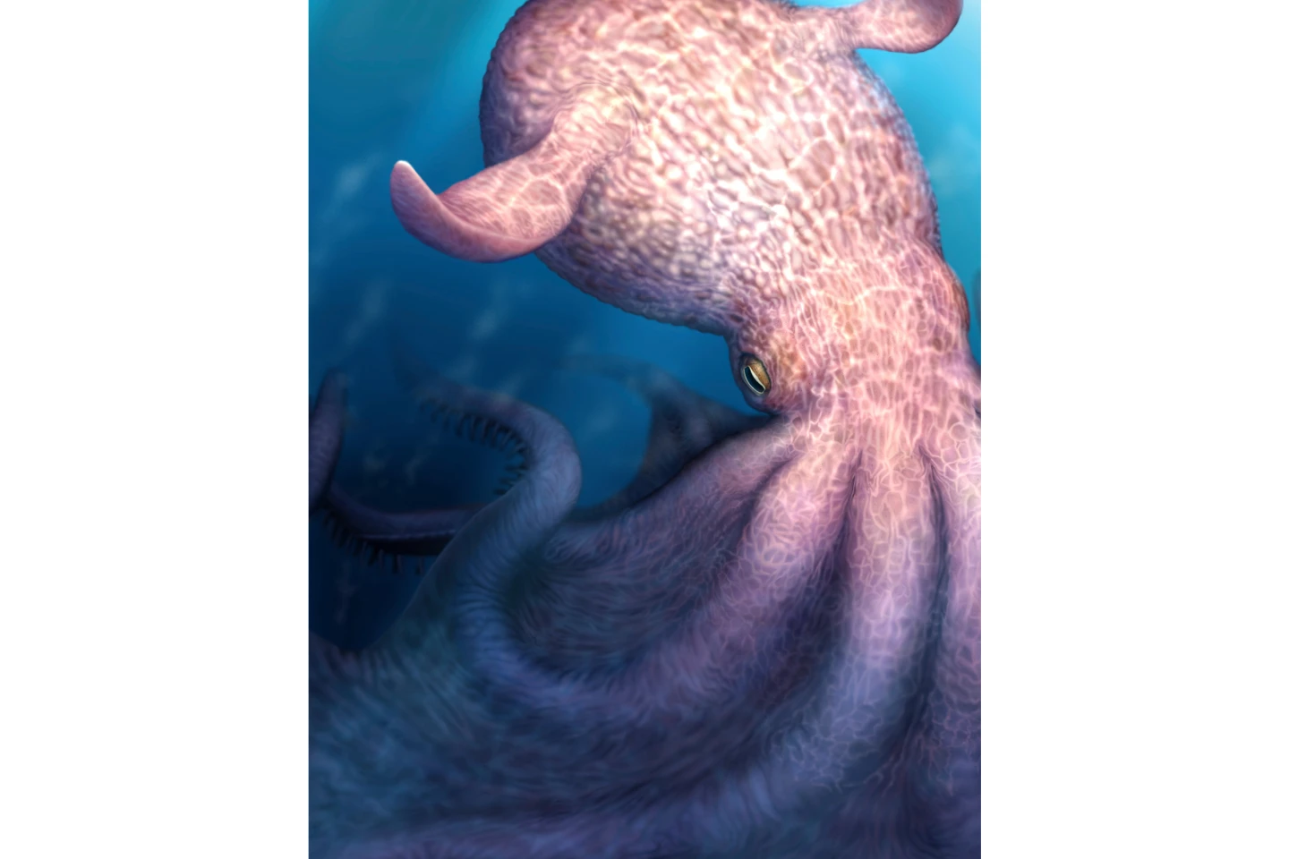 Ancient Octopuses: The Top Predators of the Dinosaur Age