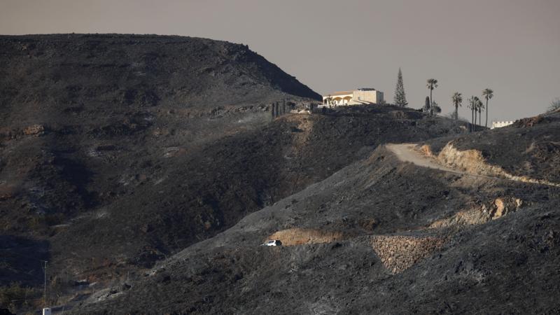 Seven Britons Among 13 Dead in Almería Wildfires