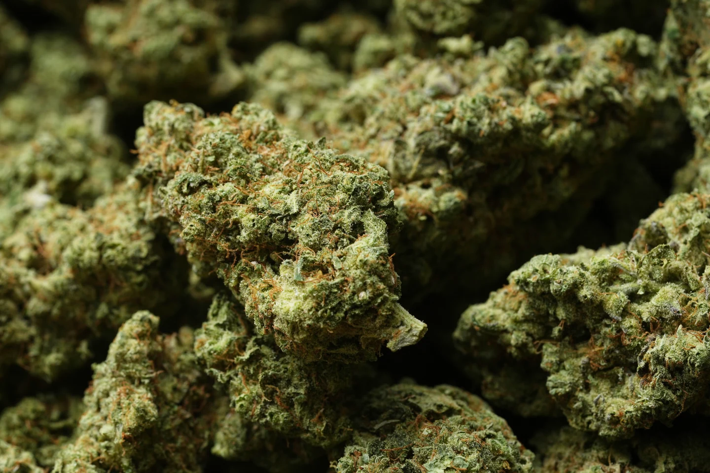 Trump's Reclassification of Medical Marijuana Marks Major Shift in U.S. Drug Policy