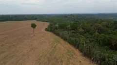 Threat to Brazil's Amazon: Deforestation Ban Under Siege