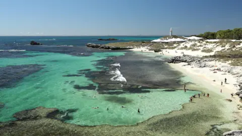 Tragic Shark Attack Claims Life of Man in Western Australia