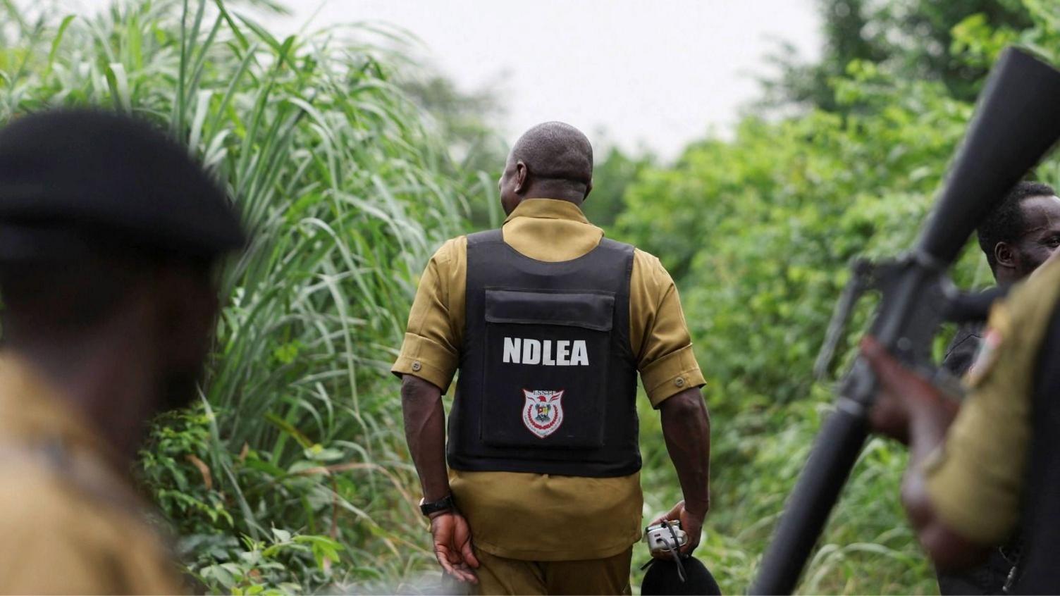 Mexican Drug Cartels Outsource Meth Labs to Nigeria, Authorities Confront Hidden Operations