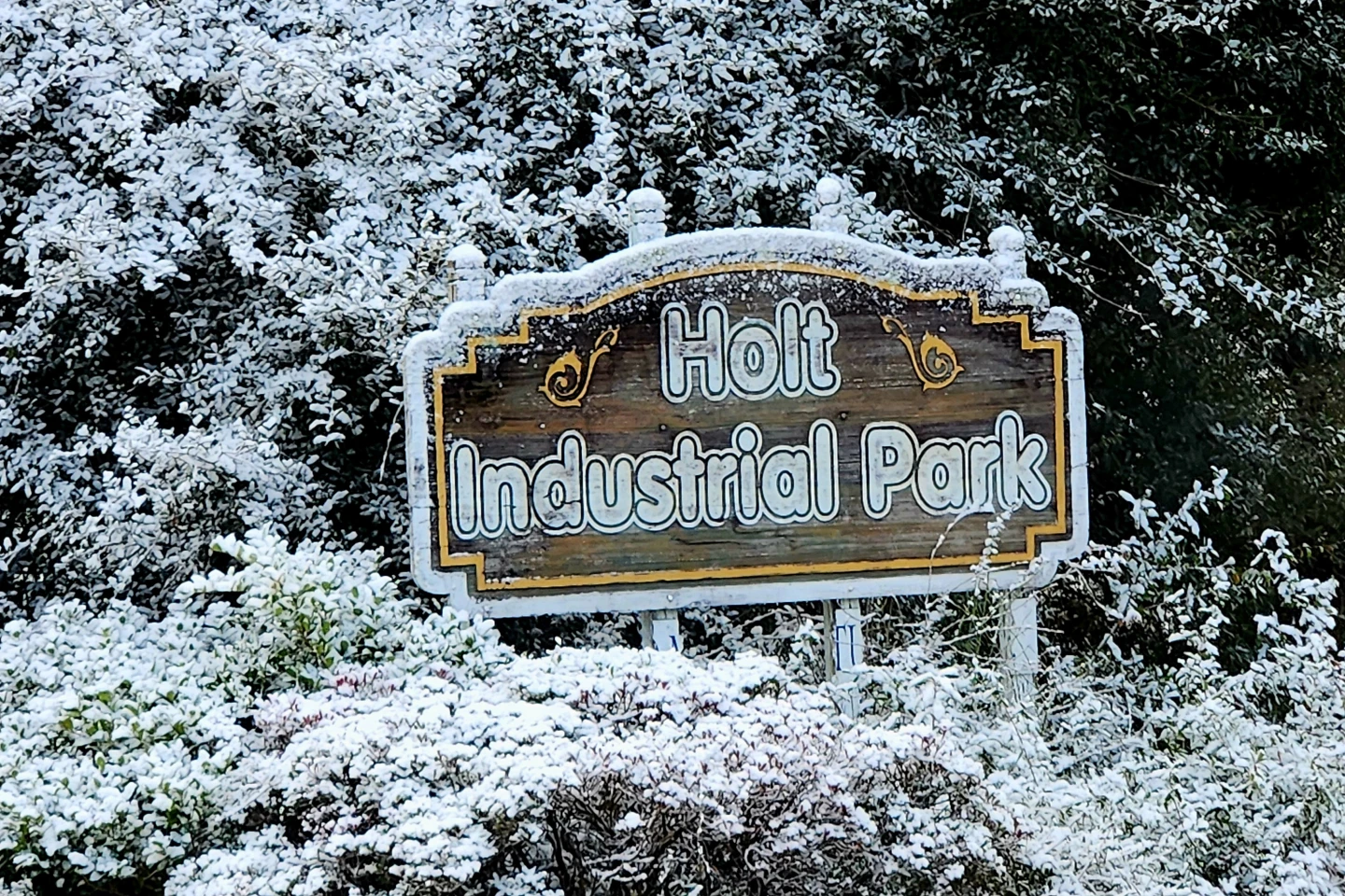 Florida Sees Unusual Snowfall for the Second Year in a Row