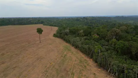 Threats to Brazil's Amazon: Deforestation Ban in Jeopardy