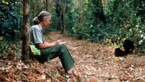 Tributes Pour In for Conservation Icon Dame Jane Goodall, Who Passed at 91