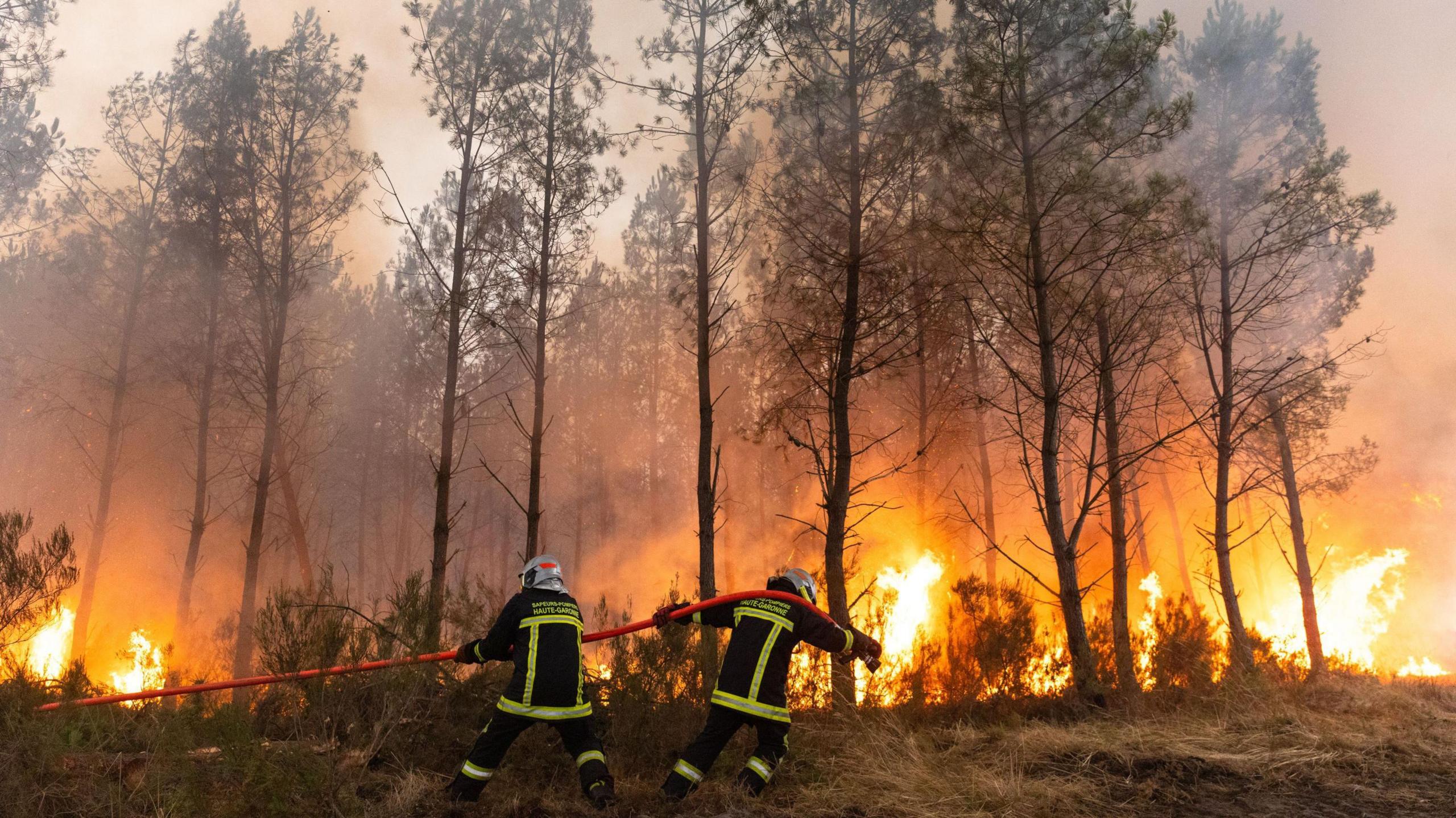 Bordeaux on the Brink: Firewall of Smoke Threatens City as Spanish and French Wildfires Rage
