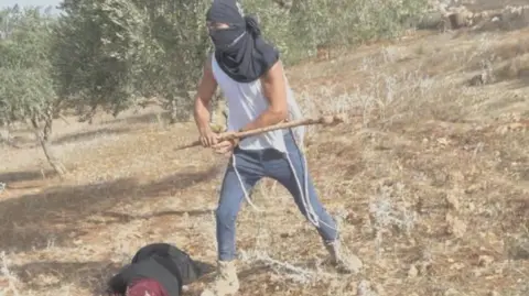 Violent Attack on Palestinian Woman by Settler During Olive Harvest