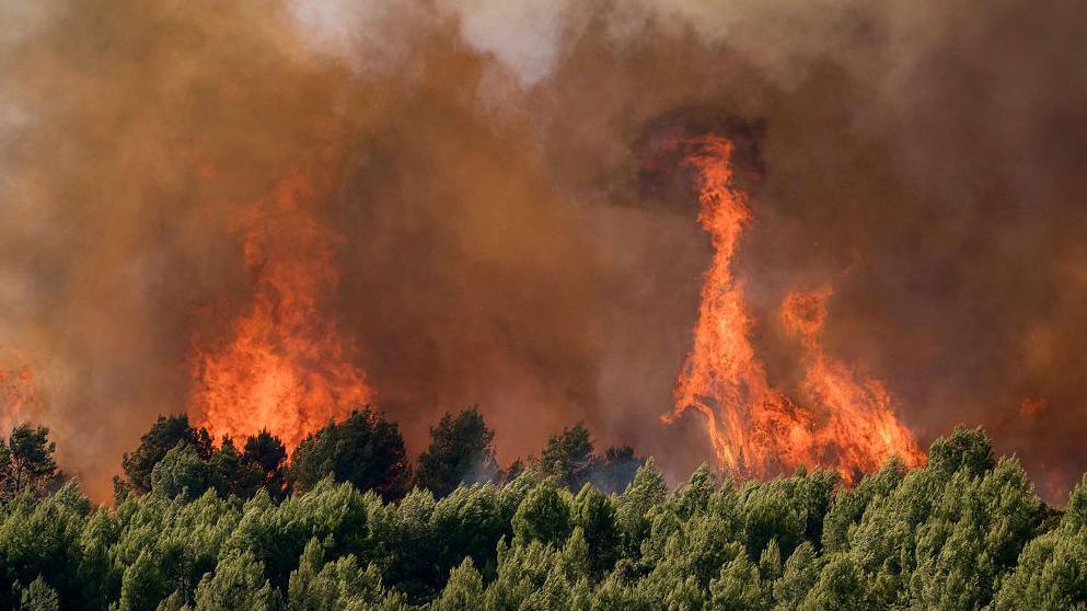 France Records Over 2,000 Excess Deaths Amid Record‑Setting Heatwave