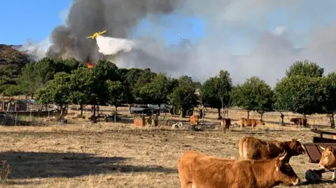 Spain's Devastating Wildfire Summer: A Nightmare for Farmers and Communities