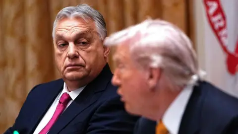 Examining the Outcomes of Orban's Meeting with Trump: Gains and Omissions
