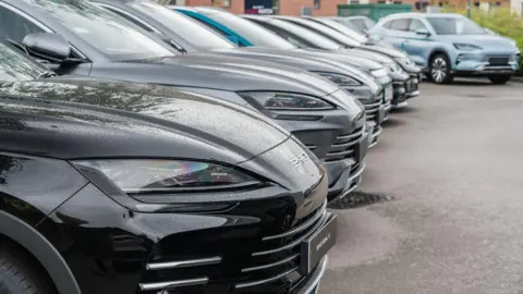 BYD Surpasses Tesla as Leading Global EV Seller