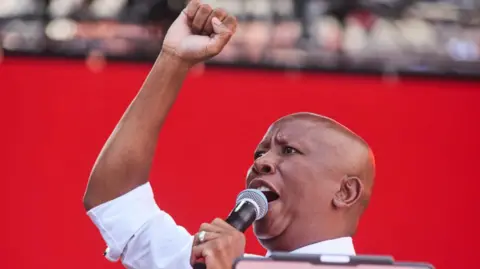 Julius Malema Sentenced: A Controversial Figure Faces Justice for Public Gun Use
