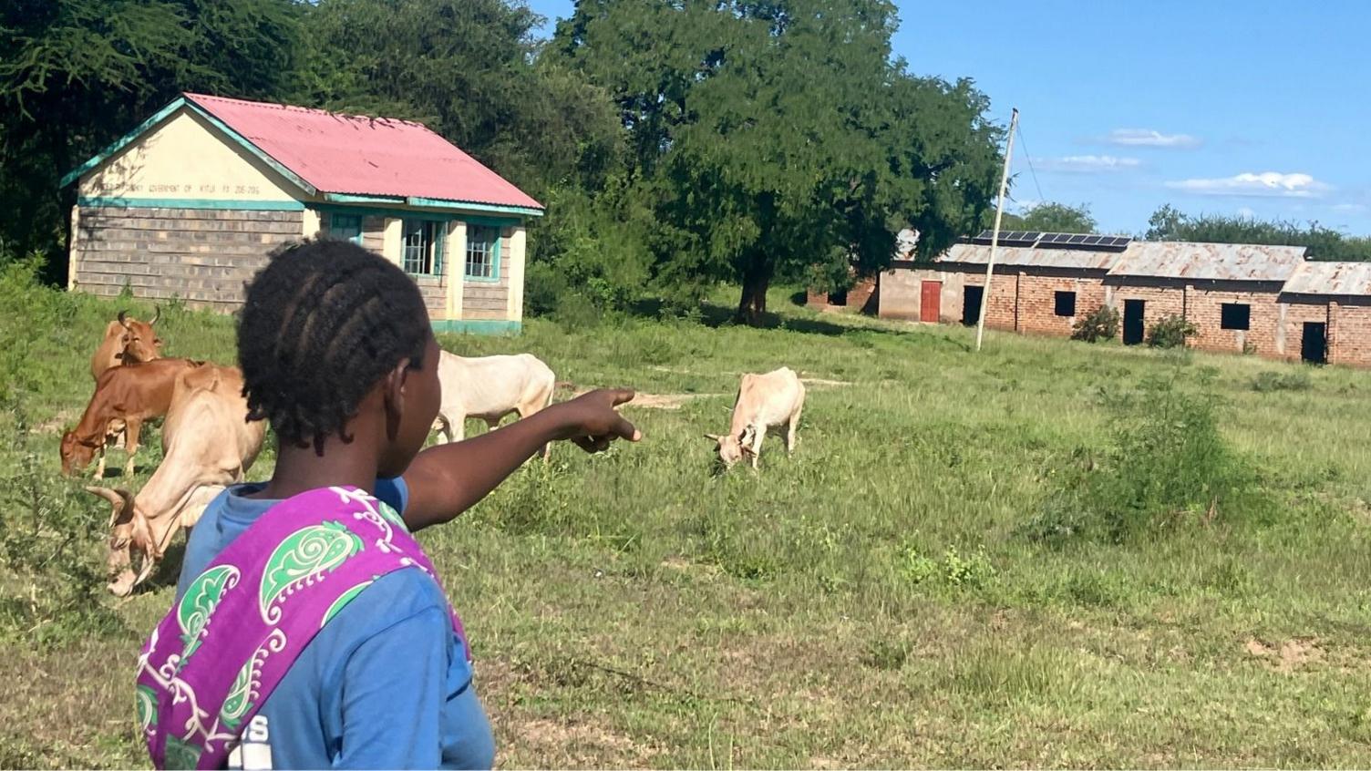 When Cows Outnumber Pupils: Kenya’s Rural School Crisis