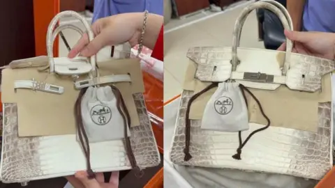 Luxury Betrayal: Jailed Vietnamese Tycoon's Birkin Bags Fetch $535K in Corruption Auction