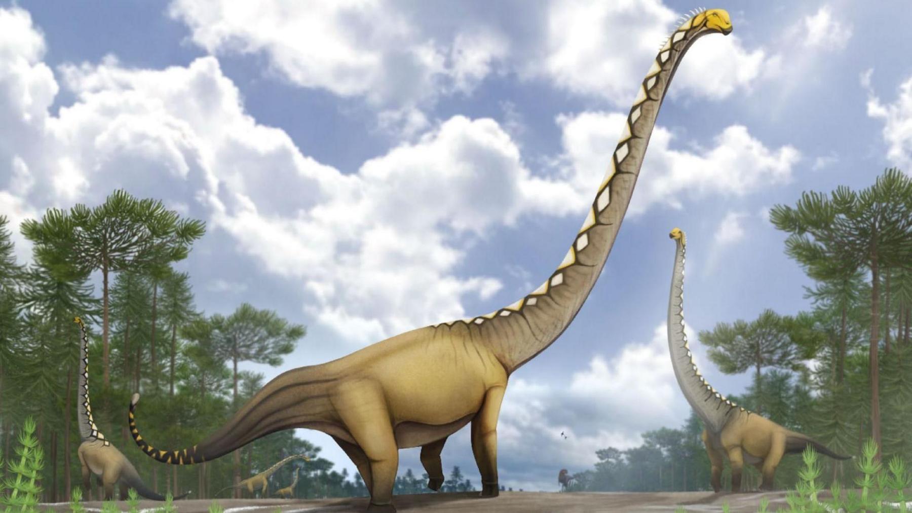 Thailand Uncovers First Mamenchisauridae Dinosaur, Uragasaurus kalasinensis
