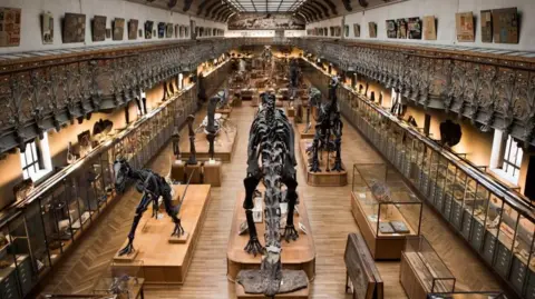 Chinese Woman Arrested After Stealing €1.5 Million in Gold from Paris Museum