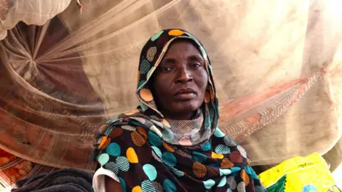 UN Launches Investigation into Mass Killings in Sudan Amid Humanitarian Crisis