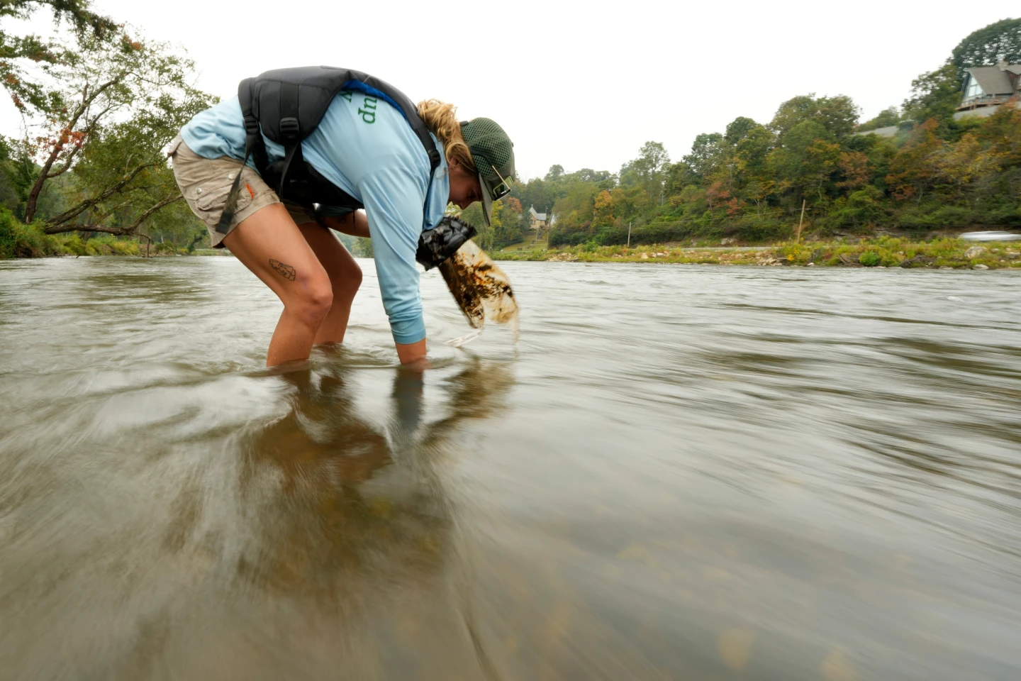 Cleanup Continues a Year After Hurricane Helene's Devastation