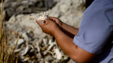 Echoes of the Past: Families of the Missing in Syria Demand Justice