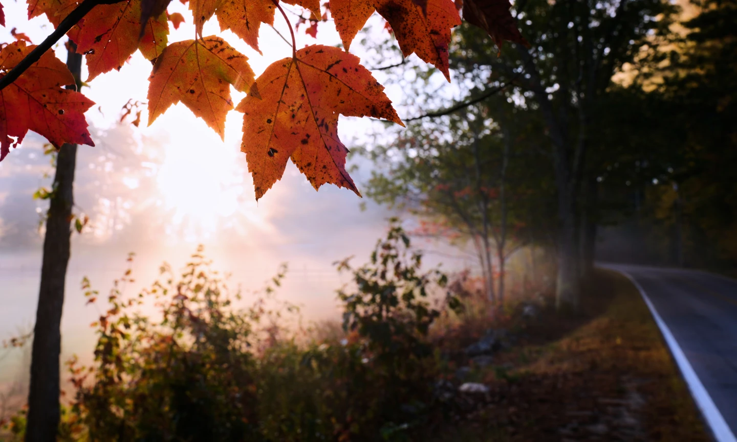 Drought Dulls Autumn Colors Across the Northeast and Rocky Mountains